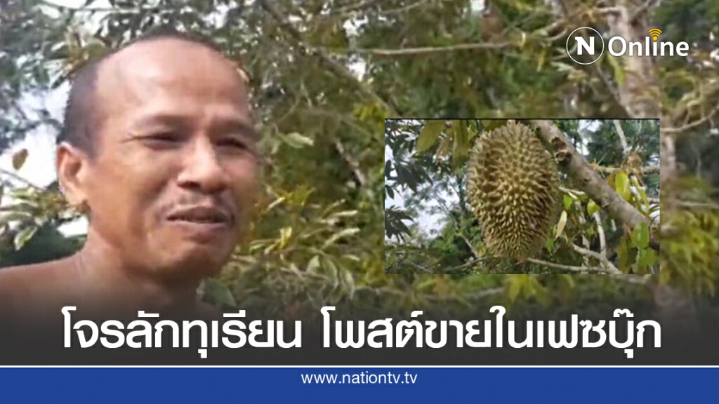 เจ้าของทุเรียนสุดซ้ำ!! โจรลักทุเรียน โพสต์ขายเฟซบุ๊ก เจ้าของทุเรียนสุดซ้ำ!! โจรลักทุเรียน โพสต์ขายเฟซบุ๊ก