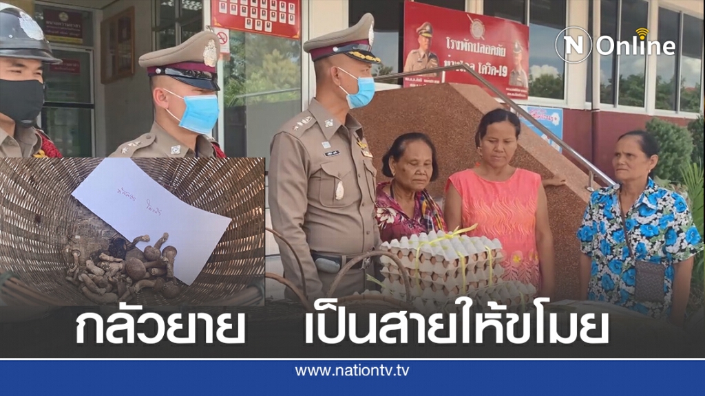 ผอ. เพาะชำจับยายเก็บเห็ด หวั่นเป็นสายสำรวจไม้พะยูง