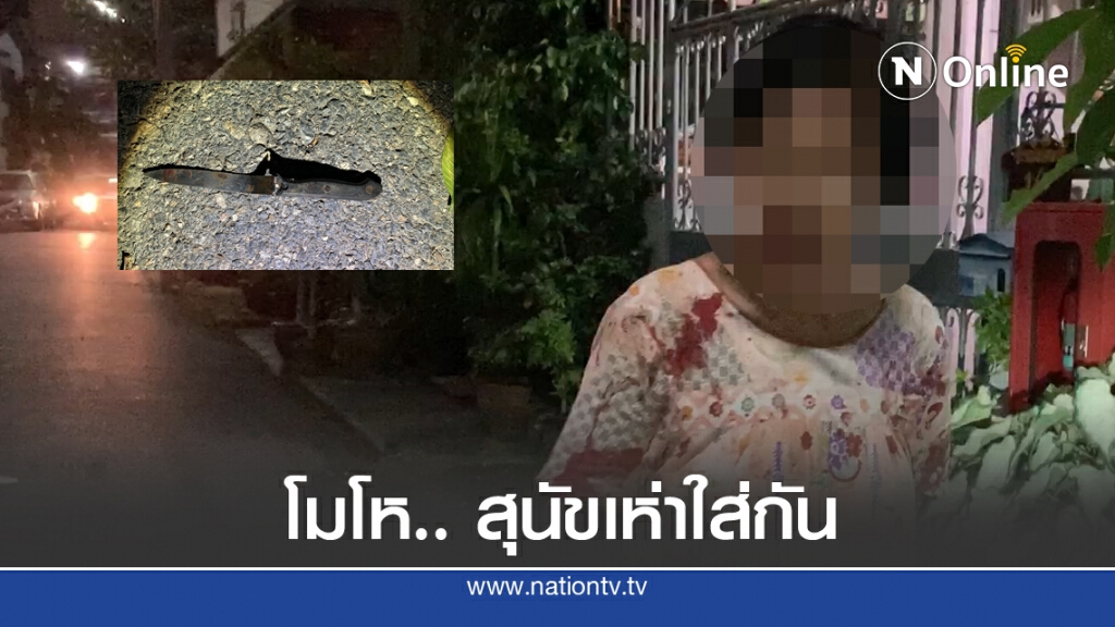 โมโห...ยายแทงเพื่อนบ้านเจ็บเหตุเกิดจากหมากัดกัน