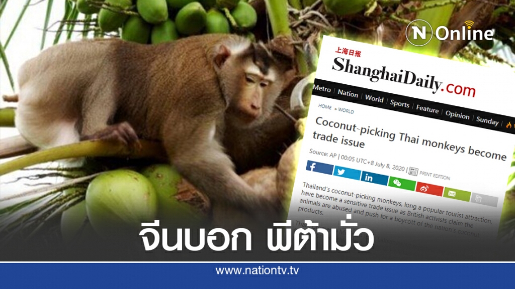 'จีน' ป้องไทย บอก 'พีต้ามั่ว' กล่าวหาไทยใช้แรงงานลิง แค่กลั่นแกล้ง 'จีน' ป้องไทย บอก 'พีต้ามั่ว' กล่าวหาไทยใช้แรงงานลิง แค่กลั่นแกล้ง
