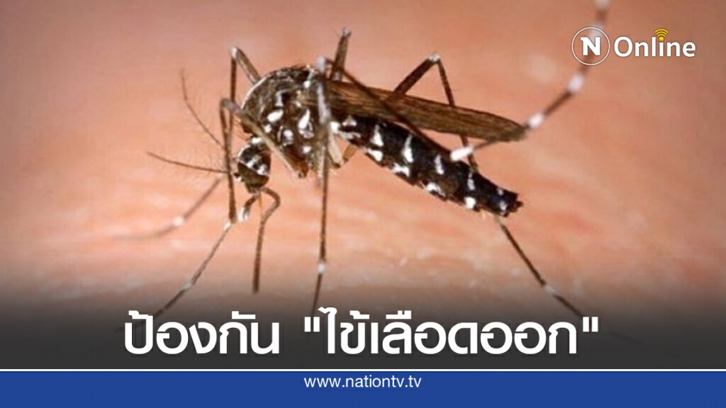 ป้องกัน "ไข้เลือดออก" นักฆ่าในหน้าฝน