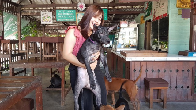 น้องหมาแสนรู้หลงทางมาตะกายประตูคลินิกสัตวแพทย์ให้ส่งกลับบ้าน