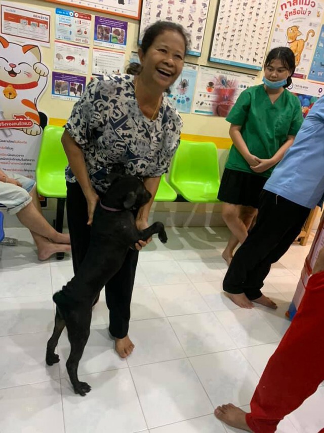 น้องหมาแสนรู้หลงทางมาตะกายประตูคลินิกสัตวแพทย์ให้ส่งกลับบ้าน