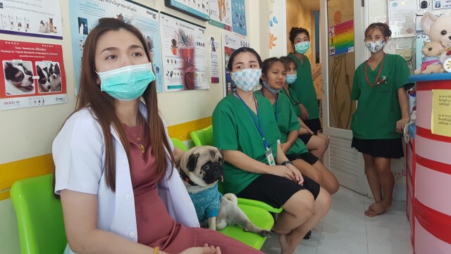 น้องหมาแสนรู้หลงทางมาตะกายประตูคลินิกสัตวแพทย์ให้ส่งกลับบ้าน