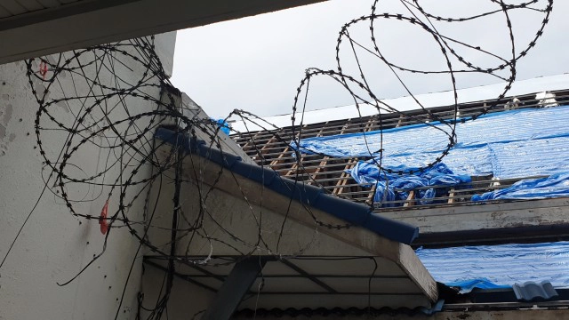 ลิงกังหันมารับจ๊อบเฝ้าศาลากลาง ป้องกันลิงแสมรื้อหลังคา