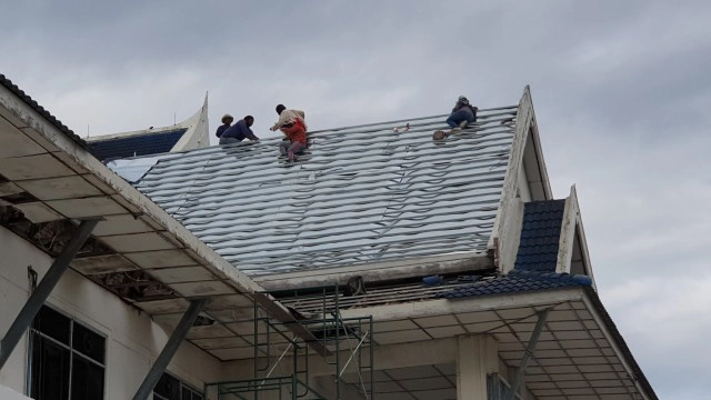 ลิงกังหันมารับจ๊อบเฝ้าศาลากลาง ป้องกันลิงแสมรื้อหลังคา