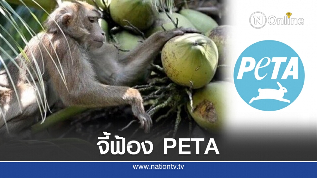 จี้รัฐบาลไทยฟ้อง PETA เรียกค่าเสียหาย จี้รัฐบาลไทยฟ้อง PETA เรียกค่าเสียหาย