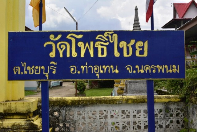ฝูงค้างคาวบุกวัดเก่าโบราณนครพนม