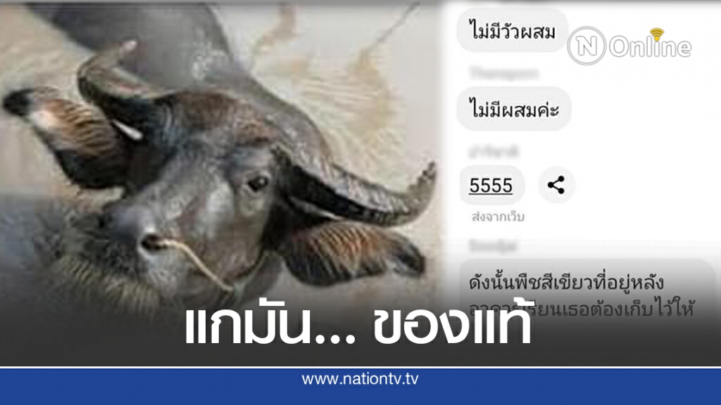 แม่สุดทน ลูกไม่อยากไปรร.แฉไลน์กลุ่ม ครูเคยรู้ไหมต้องเจออะไรบ้าง ใช่ลูกฉันโง่