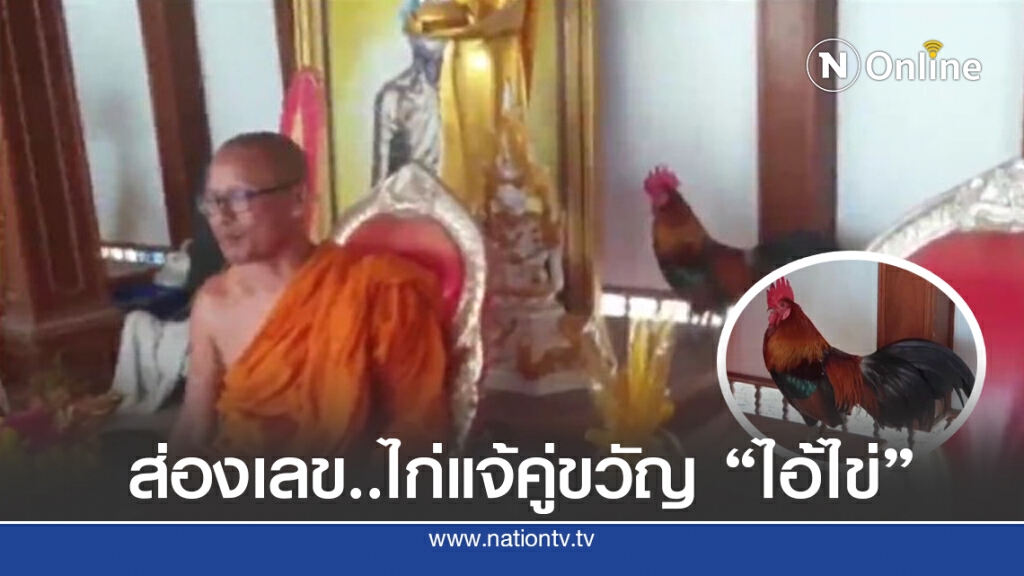 เปิดตัว "ไก่แจ้" คู่บารมี "ไอ้ไข่" คอหวยไม่พลาดส่องเลข เปิดตัว "ไก่แจ้" คู่บารมี "ไอ้ไข่" คอหวยไม่พลาดส่องเลข