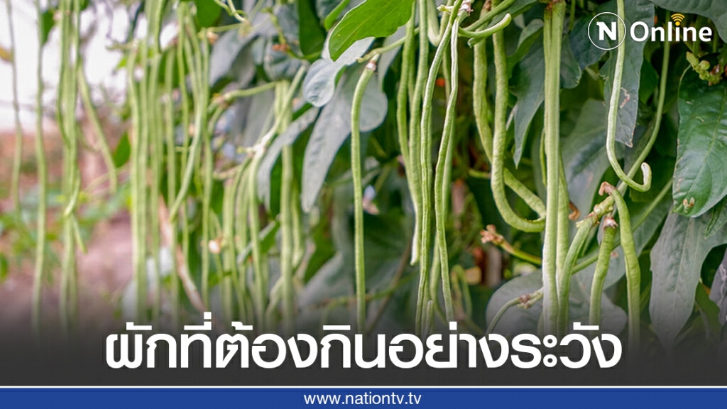 ถั่วฝักยาวดิบ ผักที่ต้องกินอย่างระวัง