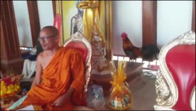 เปิดตัว "ไก่แจ้" คู่บารมี "ไอ้ไข่" คอหวยไม่พลาดส่องเลข