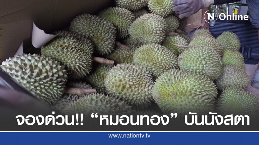 จองด่วน!! ทุเรียน "หมอนทอง" ไม่เหมือนที่ใดในไทย จองด่วน!! ทุเรียน "หมอนทอง" ไม่เหมือนที่ใดในไทย