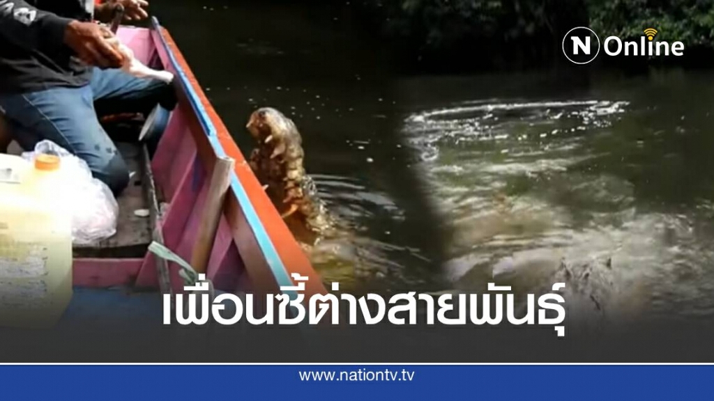 หนุ่มใหญ่ชาวอินโด อยู่ร่วมกับจระเข้มานานนับปี หนุ่มใหญ่ชาวอินโด อยู่ร่วมกับจระเข้มานานนับปี