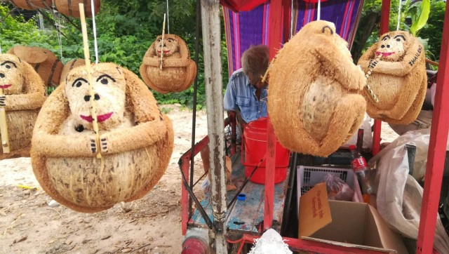 "ลิง"ลูกมะพร้าว-จากแกะแจกลูกค้าสู่อาชีพสุขใจ