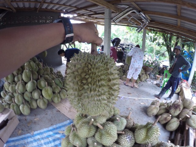 จองด่วน!! ทุเรียน "หมอนทอง" ไม่เหมือนที่ใดในไทย