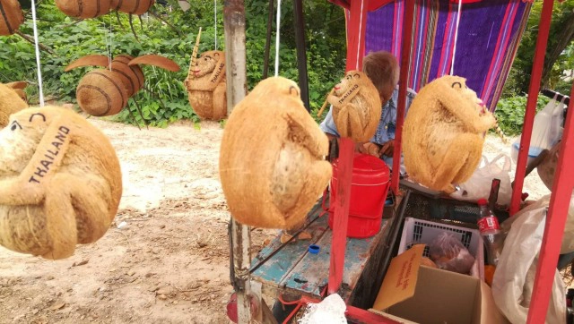 "ลิง"ลูกมะพร้าว-จากแกะแจกลูกค้าสู่อาชีพสุขใจ