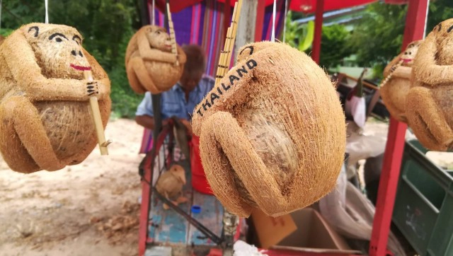 "ลิง"ลูกมะพร้าว-จากแกะแจกลูกค้าสู่อาชีพสุขใจ