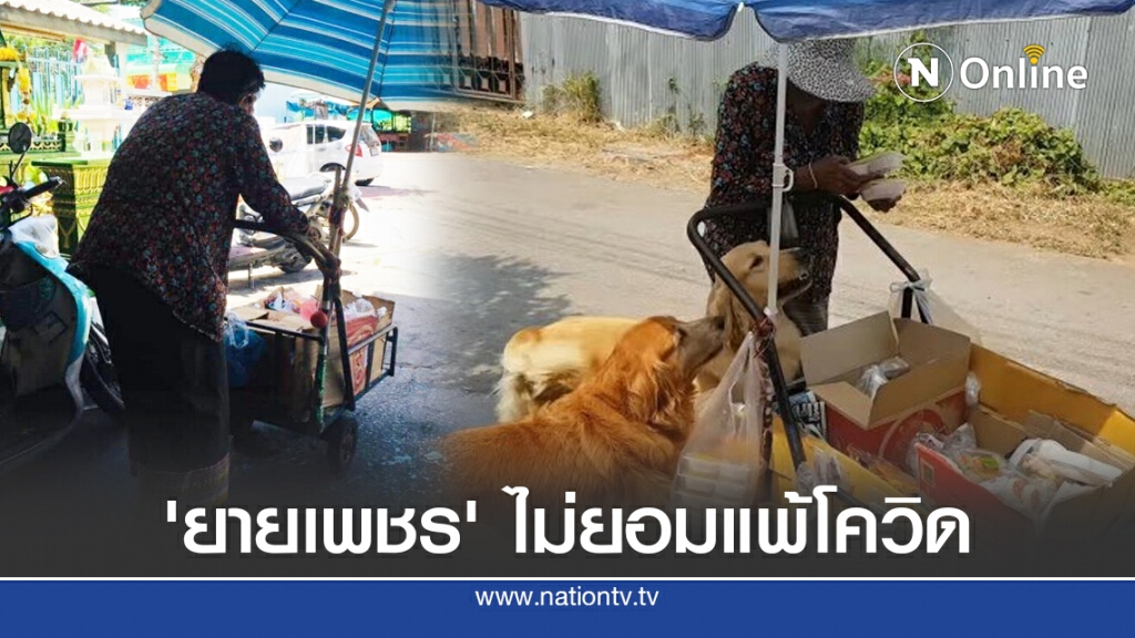 'ยายเพชร' ไม่ได้ 5พัน ลั่น คุณค่าไม่เหมือนเงินที่ได้จากน้ำพักน้ำแรง 'ยายเพชร' ไม่ได้ 5พัน ลั่น คุณค่าไม่เหมือนเงินที่ได้จากน้ำพักน้ำแรง