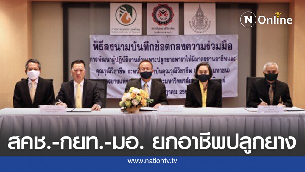 สคช.- กยท. - มอ. ผนึกกำลังยกอาชีพเพาะปลูกยางพารา สคช.- กยท. - มอ. ผนึกกำลังยกอาชีพเพาะปลูกยางพารา