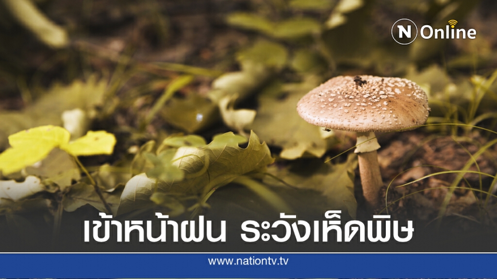 กรมวิทย์ฯแนะวิธีตรวจสอบเห็ดพิษ