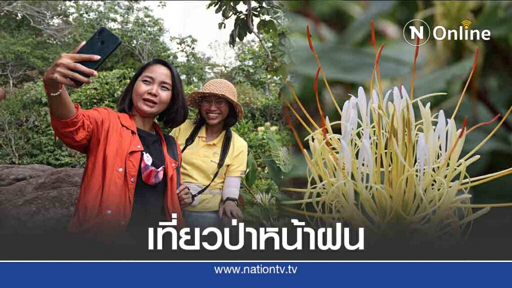 เที่ยวป่าหน้าฝน ยลโฉมดอกตาเหินไหว-ดอกเปราะภู เที่ยวป่าหน้าฝน ยลโฉมดอกตาเหินไหว-ดอกเปราะภู
