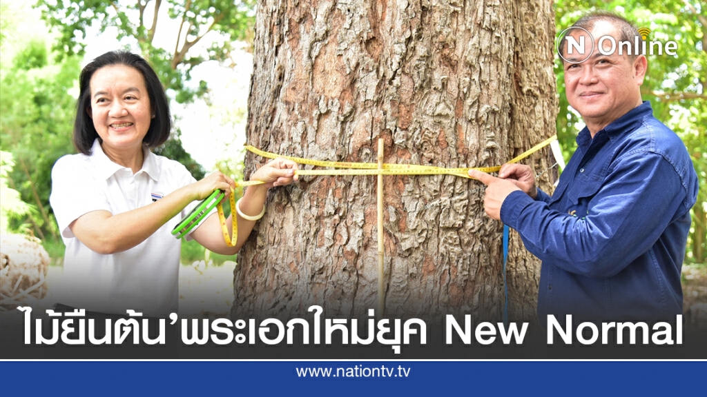 พาณิชย์ดัน ‘ไม้ยืนต้น’ หลักประกันธุรกิจ