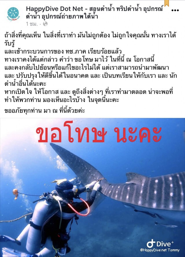 โซเชียลจวกโรงเรียนสอนดำน้ำโพสต์ท่า ถ่ายรูปกับปะการัง