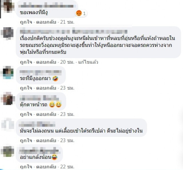 คนขับเสียงสั่นงูเลื้อยขึ้นมากระจกรถชูคอกลางอากาศ