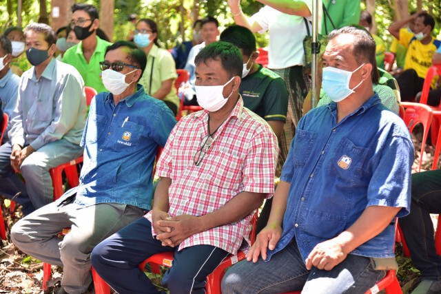 พาณิชย์ดัน ‘ไม้ยืนต้น’ หลักประกันธุรกิจ
