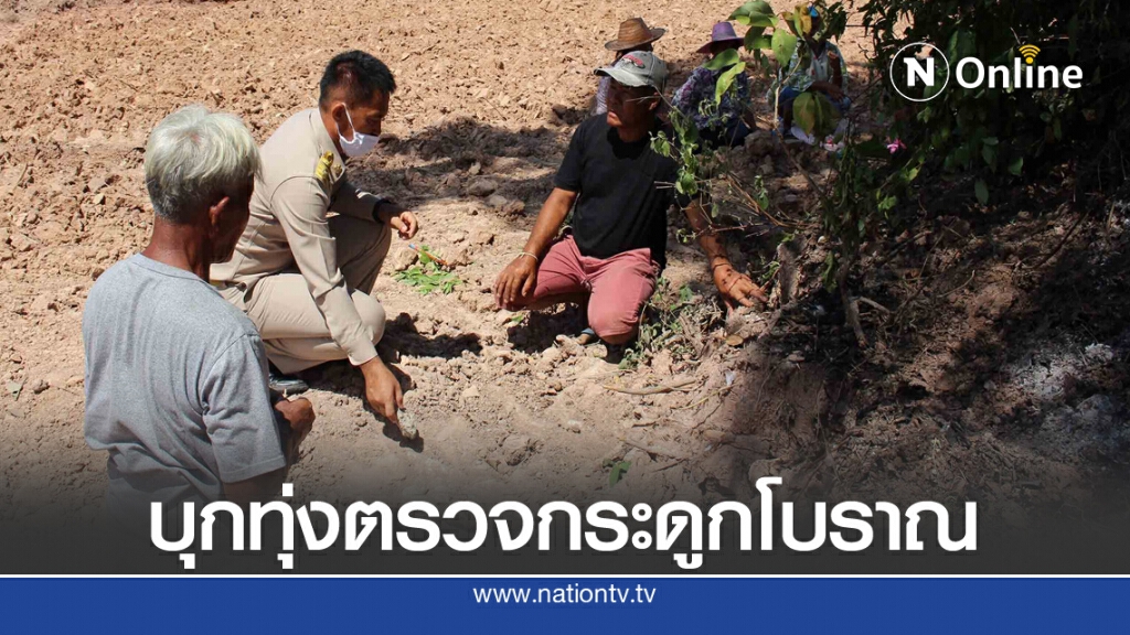 ตรวจสอบกระดูกสัตว์โบราณพบกลางทุ่งนา