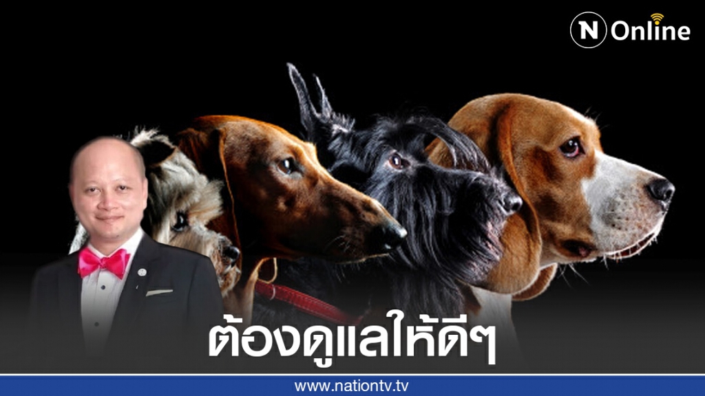 ปล่อยสุนัขเห่าสร้างความเดือดร้อน เจ้าของเสี่ยงถูกปรับ!