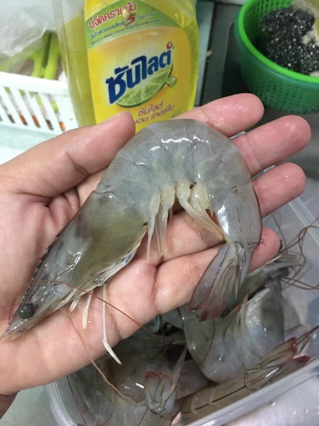 แฉแม่ค้าหัวหมอซื้อกุ้ง ทำเนียนชั่งเร็ว จ่ายเร็วแหกตา เสียค่าโง่โดนโกงไปหลายขีด