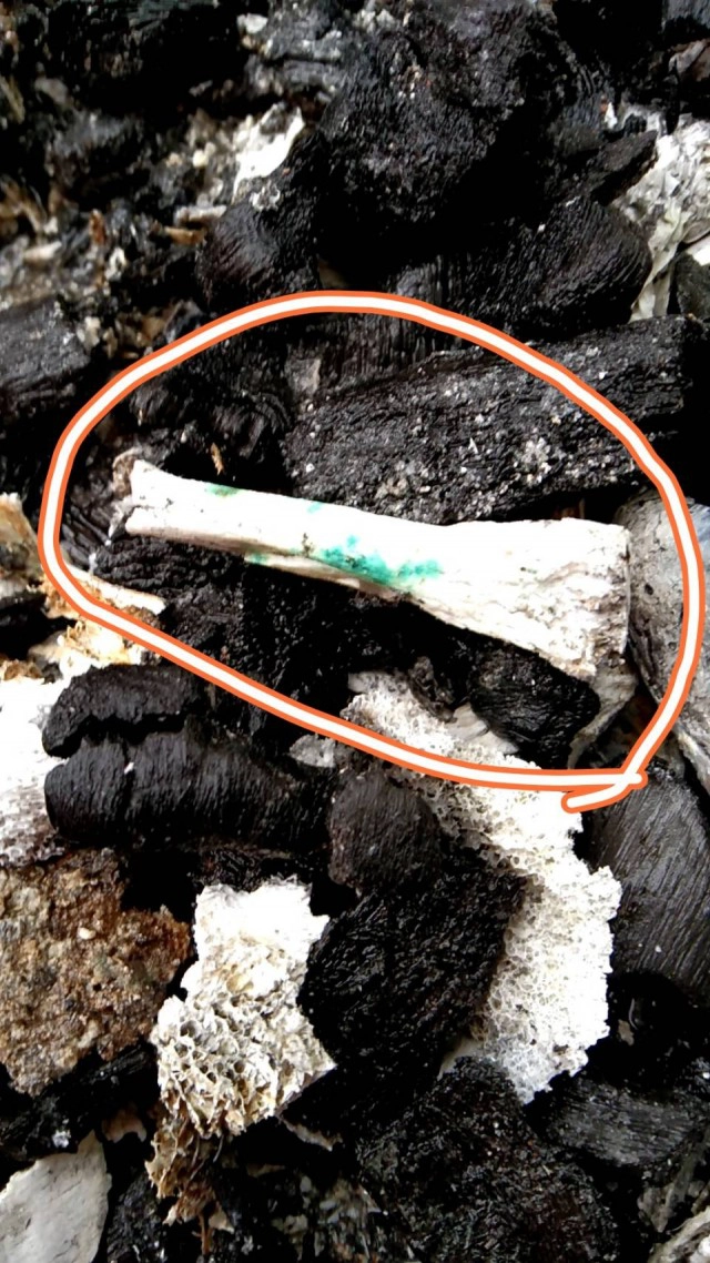 ฮือฮา!ส่องเลขพ่อเฒ่าเผาแล้วฟันกลายเป็นสีเขียวมรกต-อัฐิเป็นสีทอง