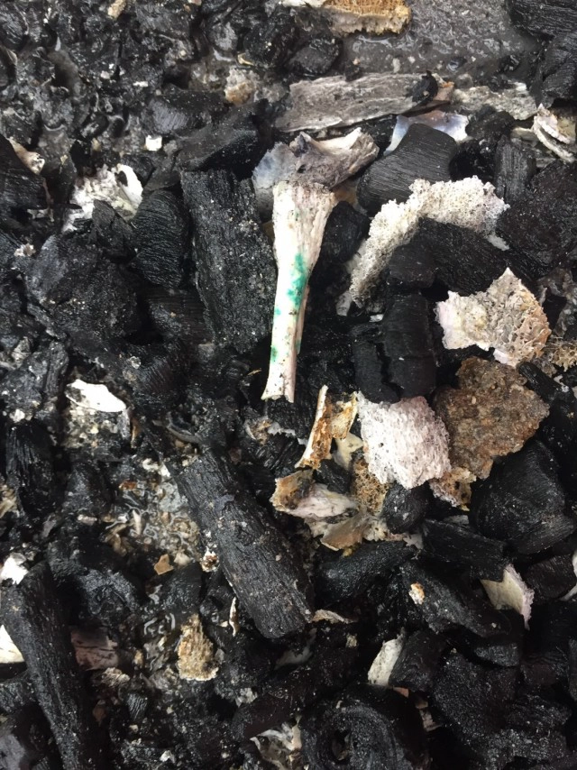 ฮือฮา!ส่องเลขพ่อเฒ่าเผาแล้วฟันกลายเป็นสีเขียวมรกต-อัฐิเป็นสีทอง