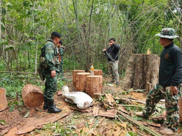 จับคนร้ายยิงเจ้าหน้าที่พิทักษ์ป่าฯ แค้นถูกยึดไม้