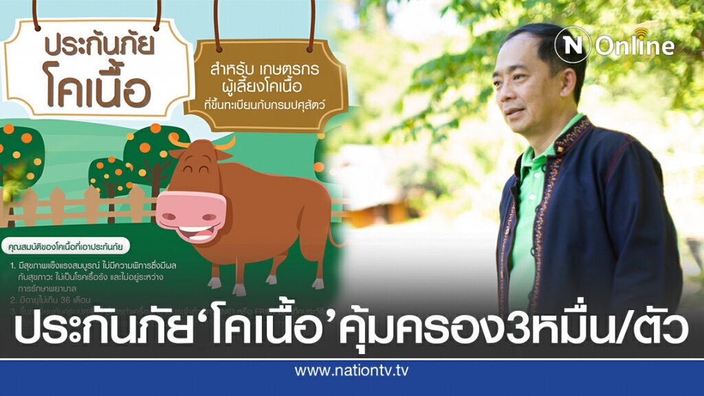 ธ.ก.ส.เปิดตัวประกันภัยโคเนื้อ วงเงินคุ้มครอง 3หมื่น/ตัว