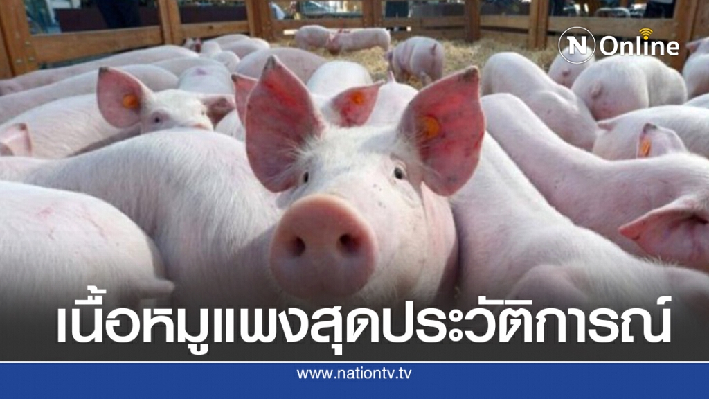 ราคาหมูเนื้อแดงทะลุกิโล 180 บาท จ่อขยับขึ้นอีก