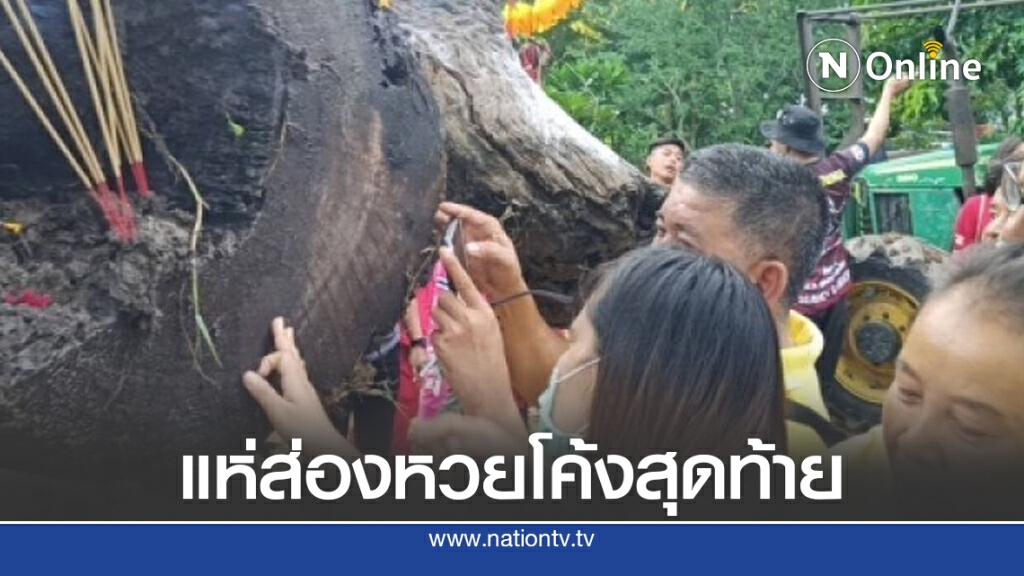 พบไม้ตะเคียนคู่อายุนับพันปีจมใต้น้ำ แห่ส่องหวยโค้งสุดท้าย พบไม้ตะเคียนคู่อายุนับพันปีจมใต้น้ำ แห่ส่องหวยโค้งสุดท้าย