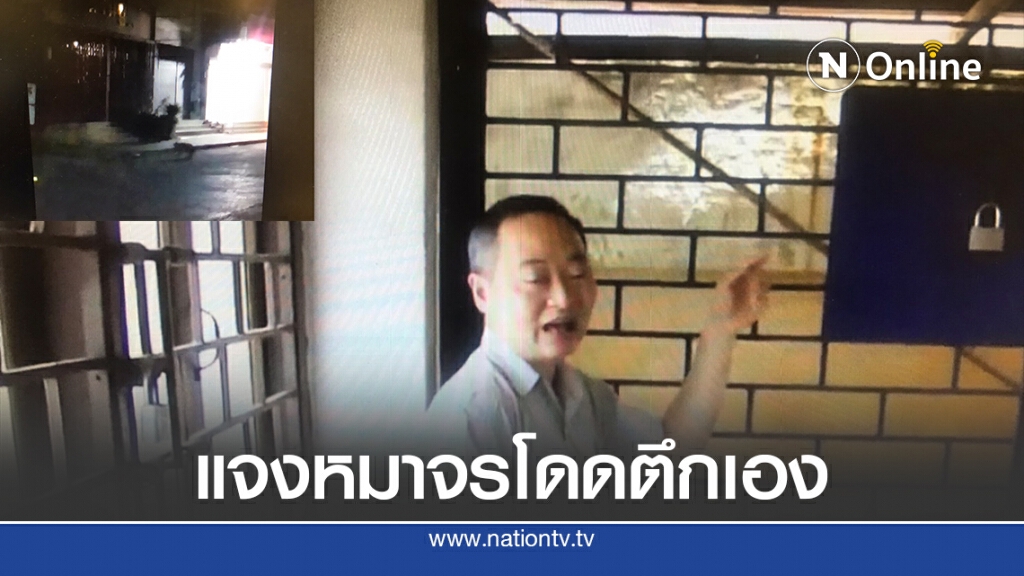 เจ้าของร้านแจงน้องหมาที่โดดตึกเป็นหมาจร ยืนยันไม่ได้ทำร้าย