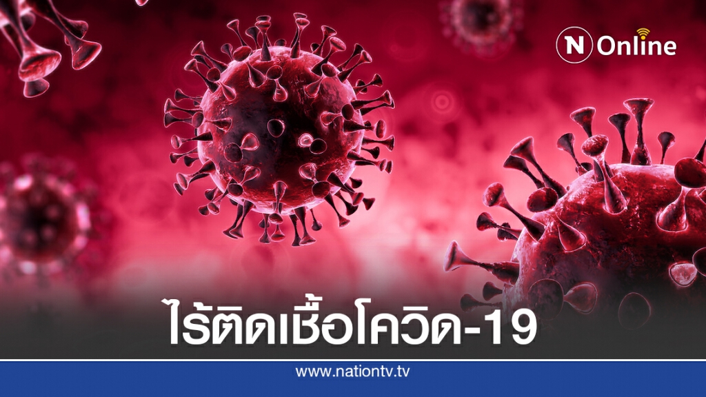 สธ.แจงผลตรวจกลุ่มเสี่ยงระยอง-กทม.กว่าพันคน ไร้ติดเชื้อโควิด-19