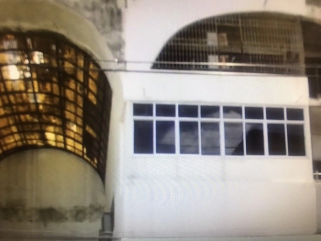 เจ้าของร้านแจงน้องหมาที่โดดตึกเป็นหมาจร ยืนยันไม่ได้ทำร้าย