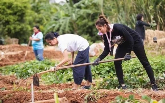 ซาร่า นุศรา ผันตัวปลูกผัก-เลี้ยงไก่ สู้โควิด