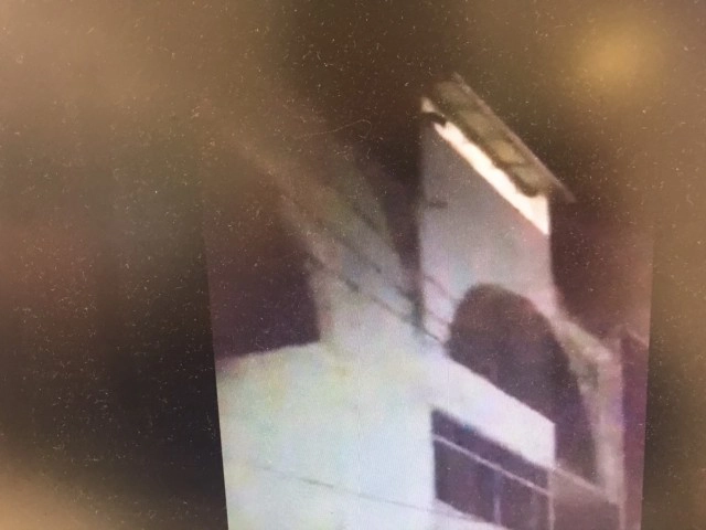 เจ้าของร้านแจงน้องหมาที่โดดตึกเป็นหมาจร ยืนยันไม่ได้ทำร้าย