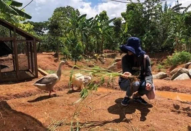 ซาร่า นุศรา ผันตัวปลูกผัก-เลี้ยงไก่ สู้โควิด