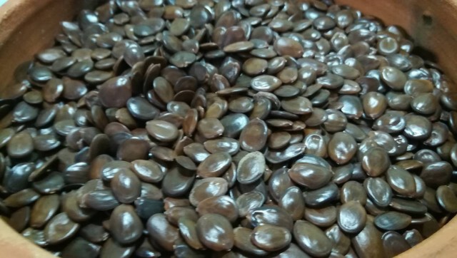 ศาสตร์ตำราฝนหลวงโปรยเมล็ดพันธุ์พืชทางอากาศ
