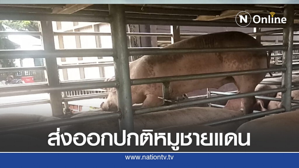 ส่งออกหมูที่มุกดาหารปกติไม่มียอดสั่งเพิ่ม