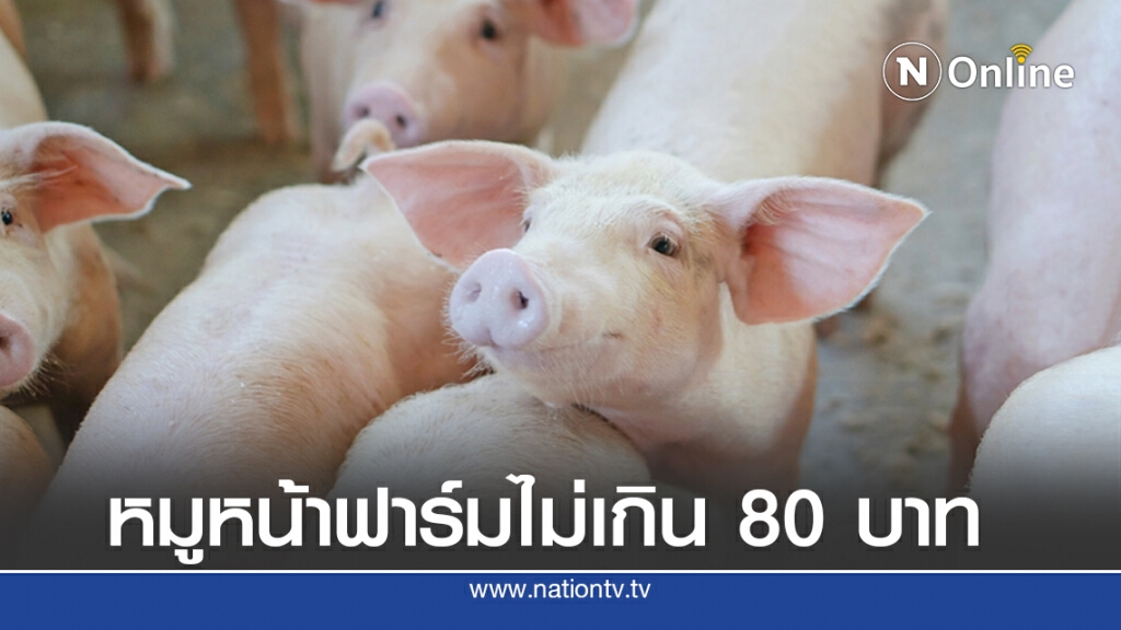 เกษตรกรแจงหมูแพงตามกลไกตลาด เกษตรกรแจงหมูแพงตามกลไกตลาด