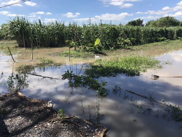 ฝนถล่มปทุมฯ หมู่บ้านสถาพรหนักสุดในรอบ 9 ปี พบขยะลอยเกลื่อนข้ามวัน