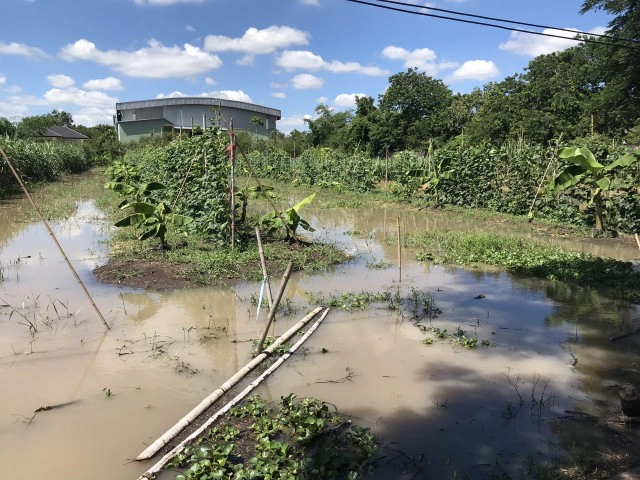 ฝนถล่มปทุมฯ หมู่บ้านสถาพรหนักสุดในรอบ 9 ปี พบขยะลอยเกลื่อนข้ามวัน
